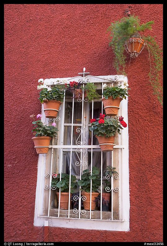 Window decorated with many potted plants. Guanajuato, Mexico