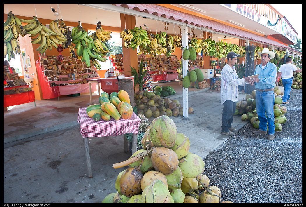 Roadside fruit stand. Mexico