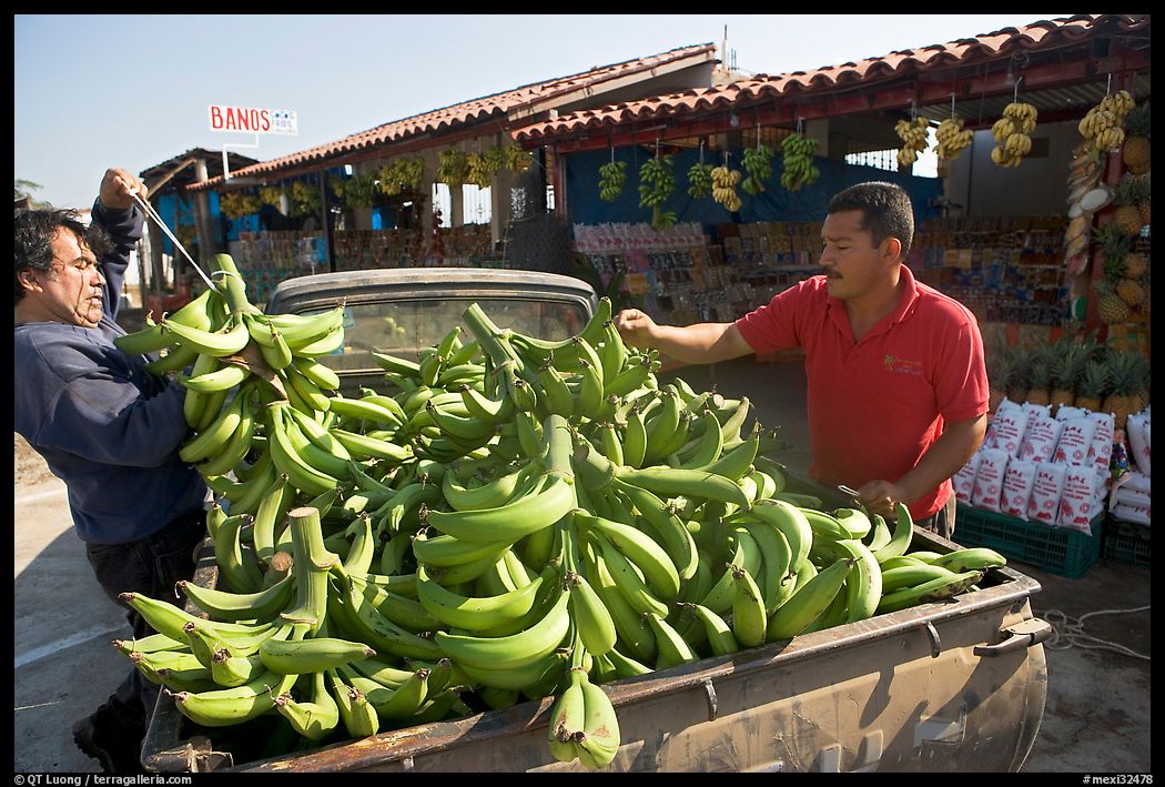 Man unloading bananas from the back of a truck. Mexico