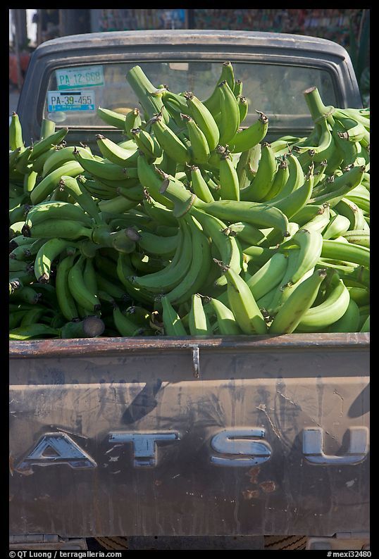 Bananas in the back of a pick-up truck. Mexico