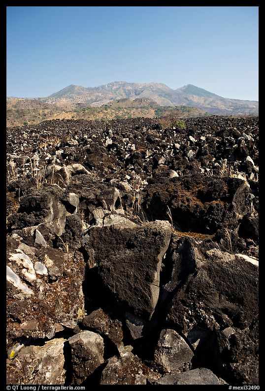 Hardened lava field. Mexico