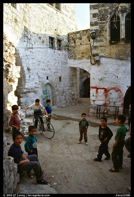 Group of children in old street, Hebron. West Bank, Occupied Territories (Israel)