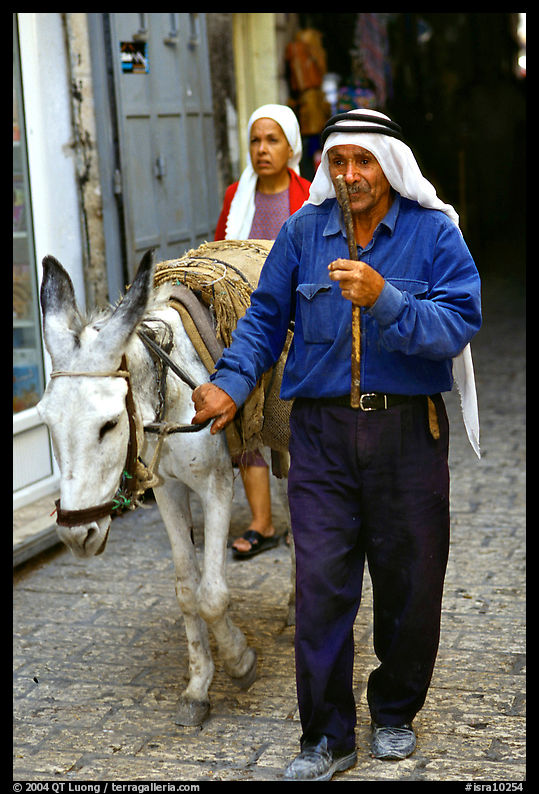 Arab man leading a donkey, Hebron. West Bank, Occupied Territories (Israel)