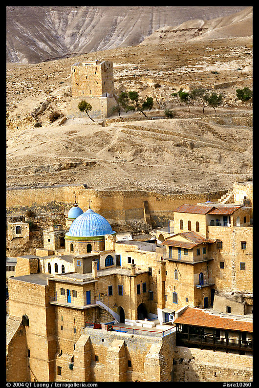 Mar Saba Monastery in the Judean Desert. West Bank, Occupied Territories (Israel)