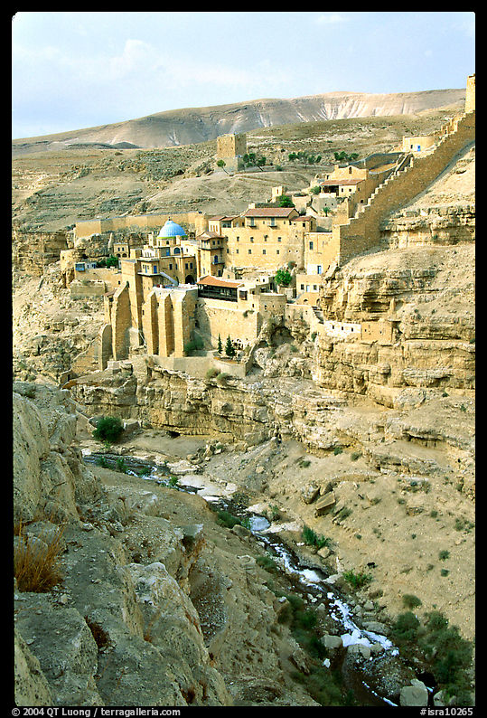 Mar Saba Monastery and steep Kidron River gorge. West Bank, Occupied Territories (Israel)