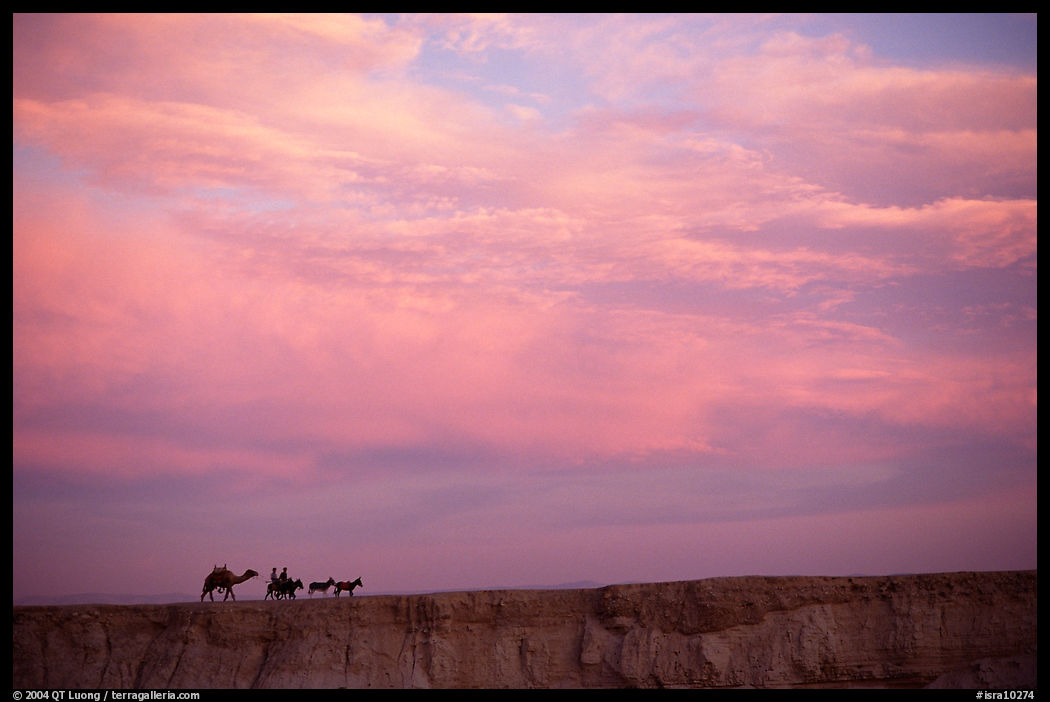 Men riding donkeys leading a camel at sunset, Judean Desert. West Bank, Occupied Territories (Israel)