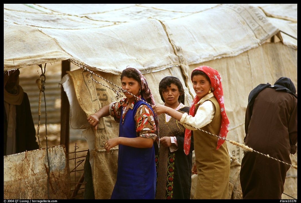 Bedouin women rearranging a tent's cover, Judean Desert. West Bank, Occupied Territories (Israel)