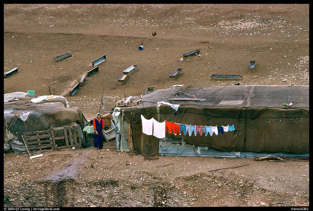 Bedouin camp, Judean Desert. West Bank, Occupied Territories (Israel)