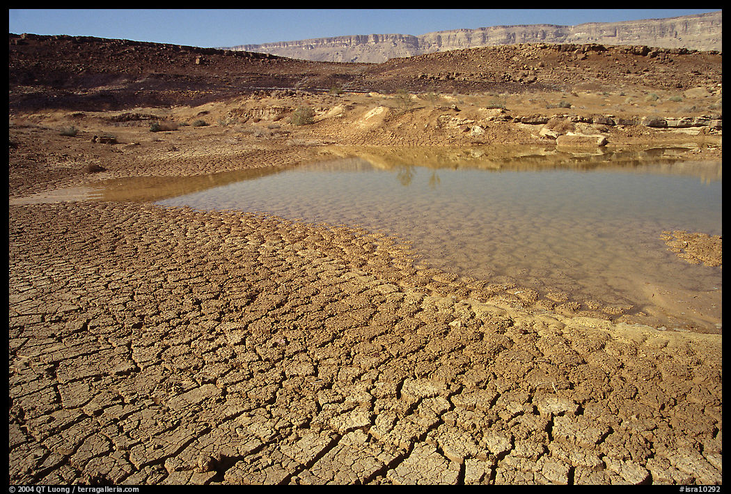 Cracked mud and shallow pond, near Mitzpe Ramon. Negev Desert, Israel