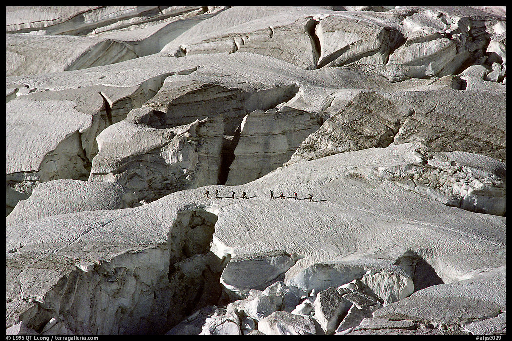 Party crosses a snow bridge in the upper Vallee Blanche in summer, Mont-Blanc range, French Alps.