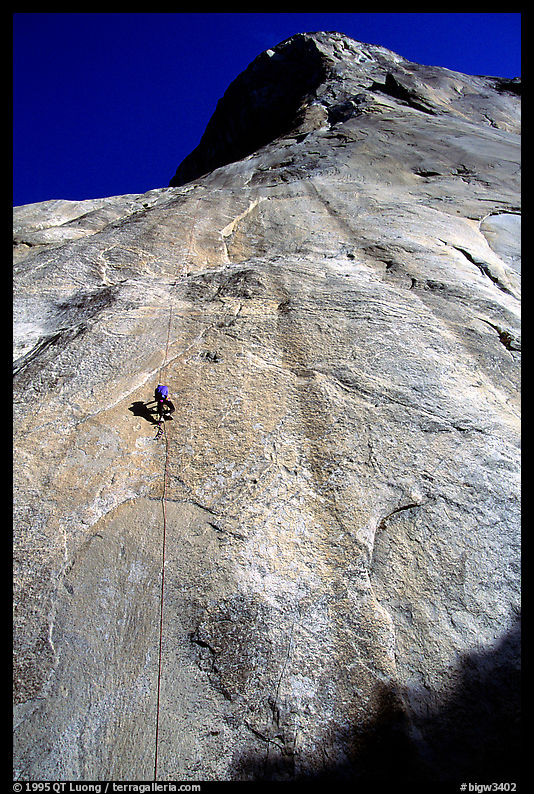Jugging back to Sickle. Only 34 pitches to go !. El Capitan, Yosemite, California