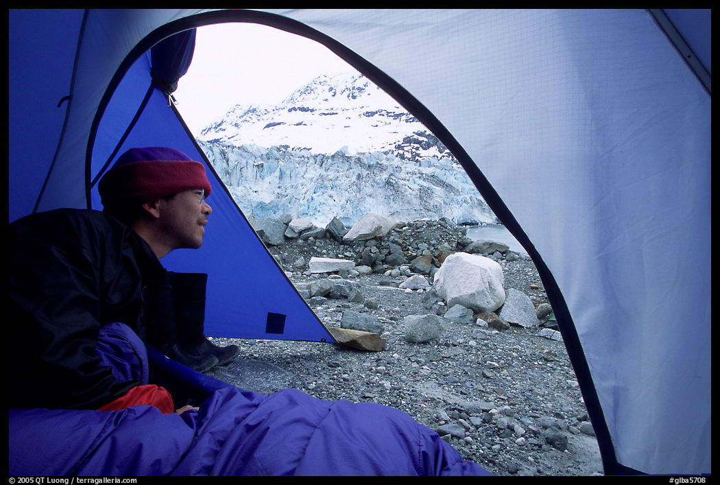 Camper in a tent looking outside to Lamplugh Glacier. Glacier Bay National Park, Alaska