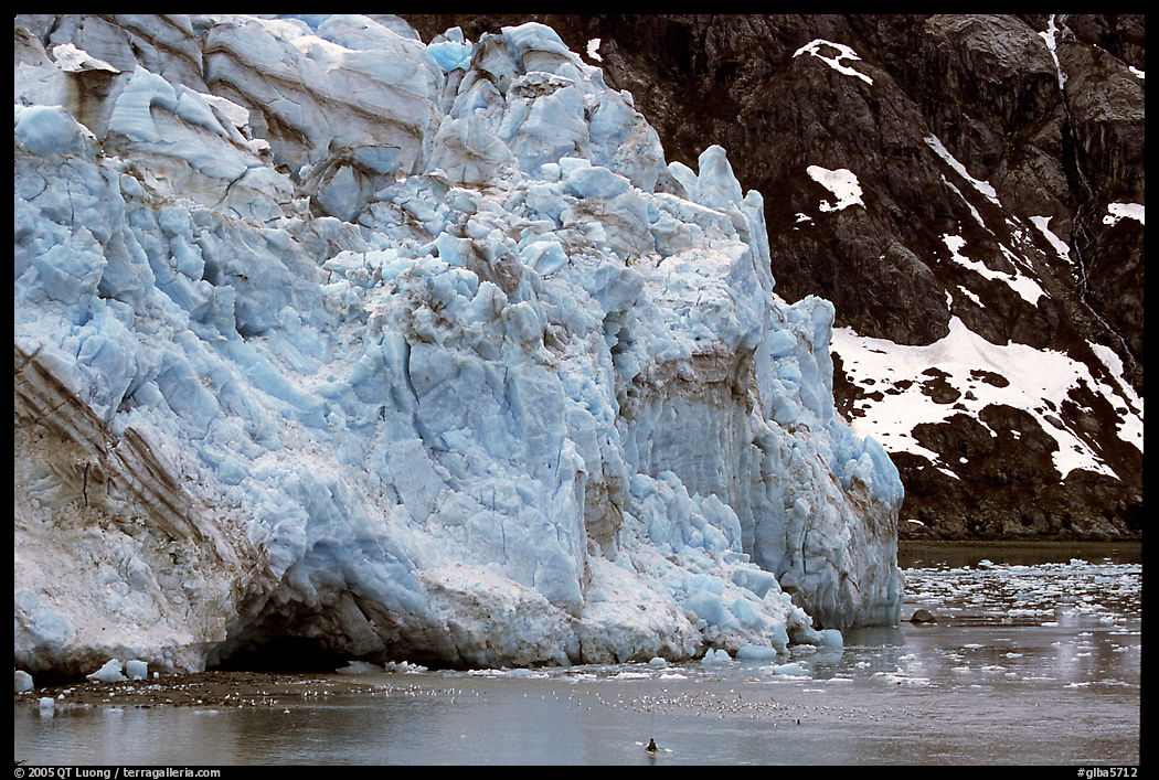 Kayaker dwarfed by Lamplugh Glacier. Glacier Bay National Park, Alaska