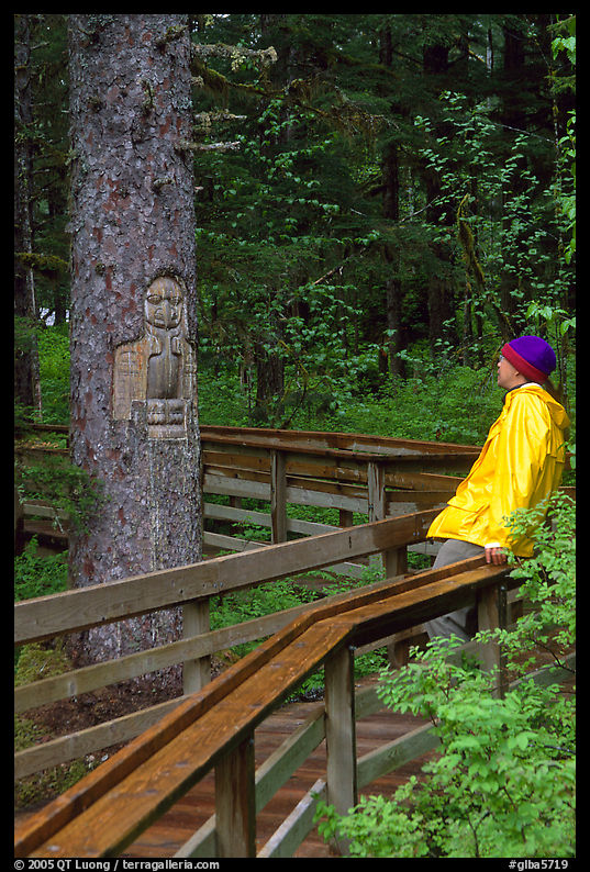Hiker looking at a tree carved by native Tlingit indians, Bartlett Cove. Glacier Bay National Park, Alaska