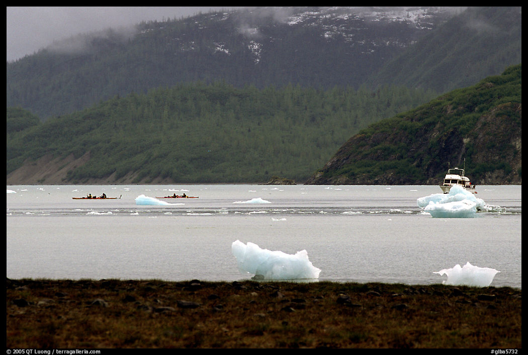 Taxi boat, kayaks, and icebergs near McBride Glacier. Glacier Bay National Park, Alaska