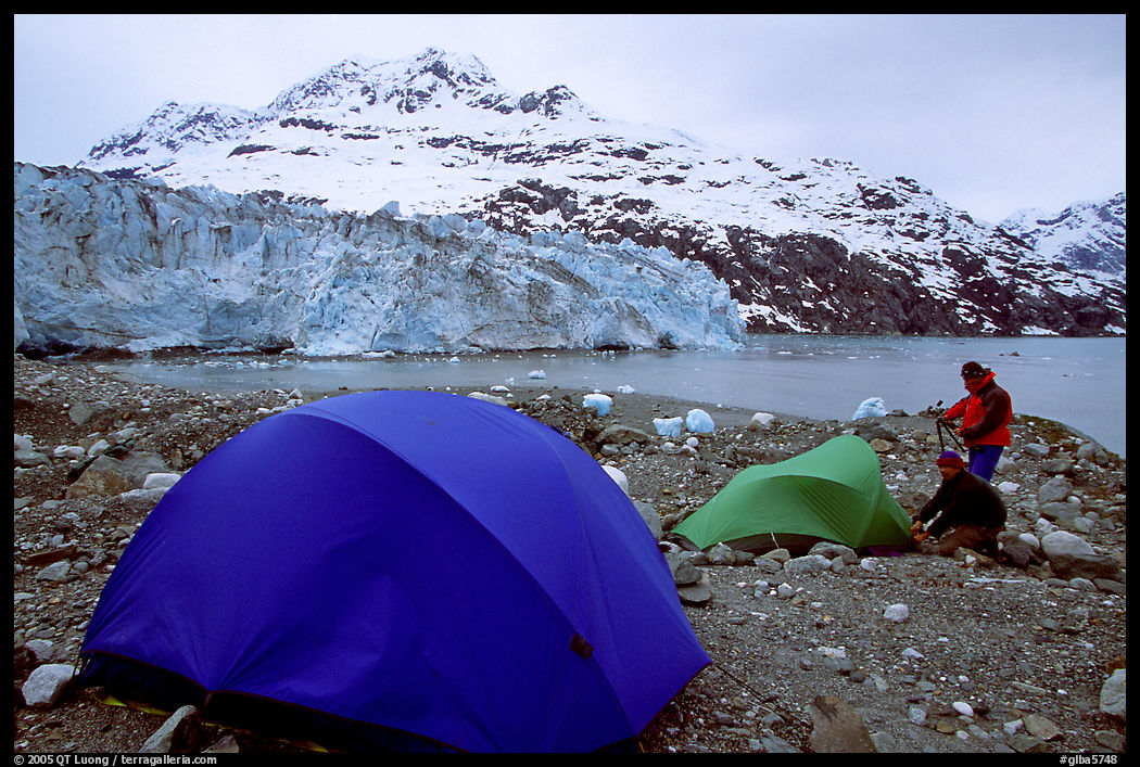 Campers set-up a tent in front of Lamplugh Glacier. Glacier Bay National Park, Alaska