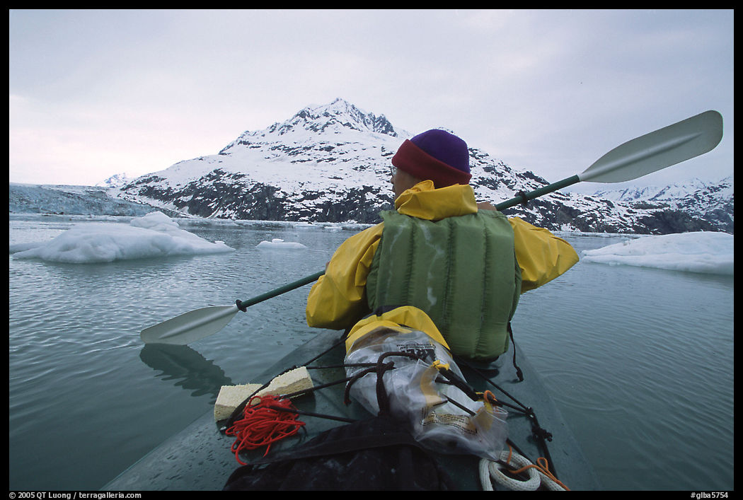 Kayaker paddling amongst icebergs near John Hopkins Inlet. Glacier Bay National Park, Alaska