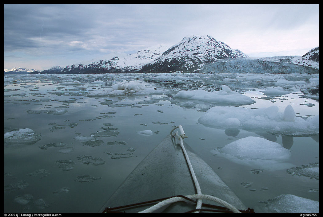 Kayak's prow, floating icebergs, and glacier. Glacier Bay National Park, Alaska