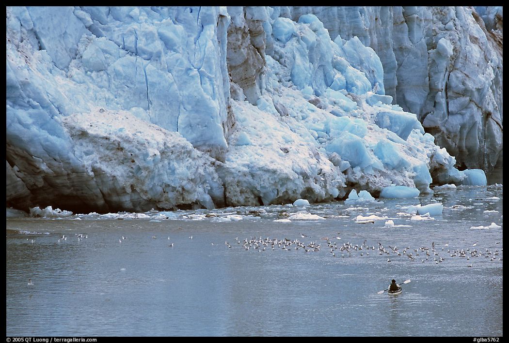 Kayaker at the base  of Lamplugh Glacier. Glacier Bay National Park, Alaska