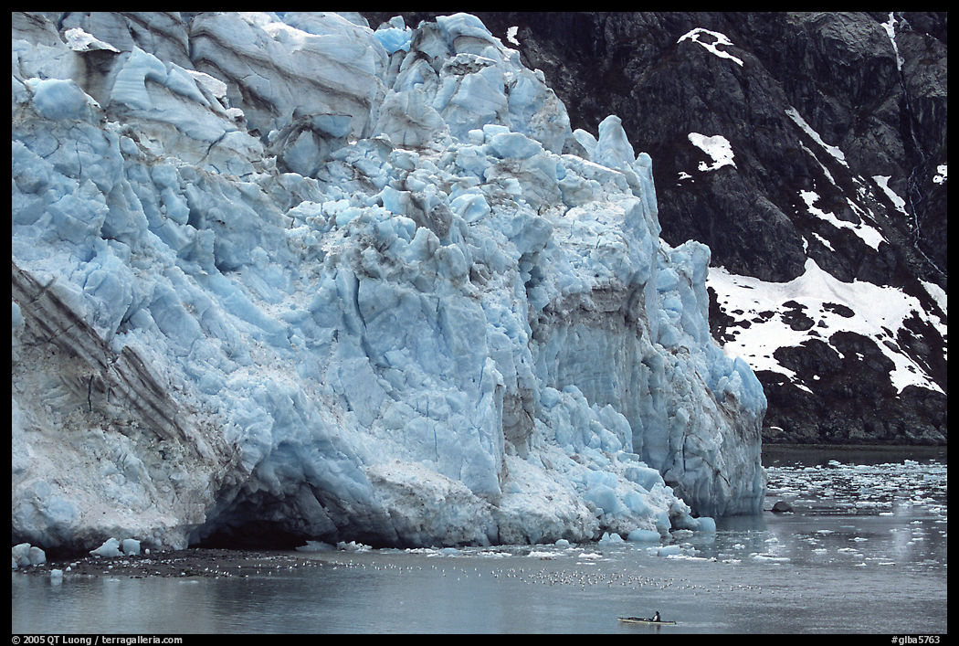 Kayaker paddling bellow Lamplugh Glacier. Glacier Bay National Park, Alaska