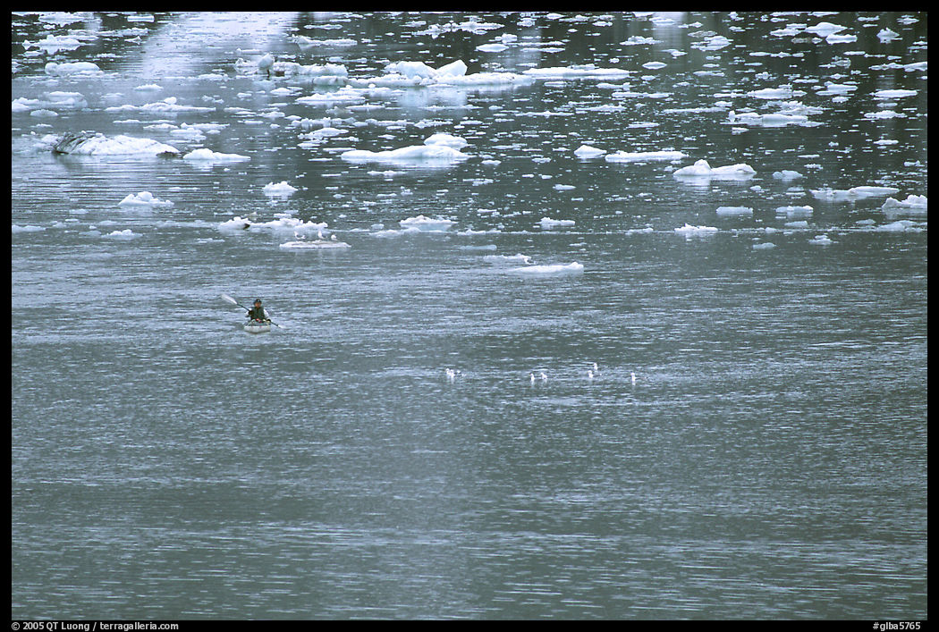Kayaker paddling amongst icebergs. Glacier Bay National Park, Alaska