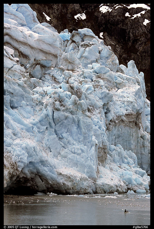 Kayaker dwarfed by Lamplugh Glacier. Glacier Bay National Park, Alaska