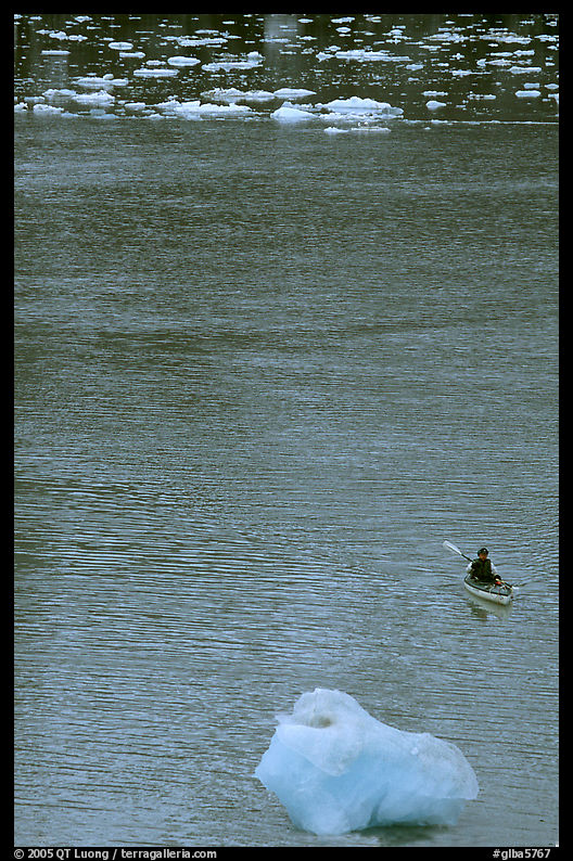 Kayaker and icebergs. Glacier Bay National Park, Alaska