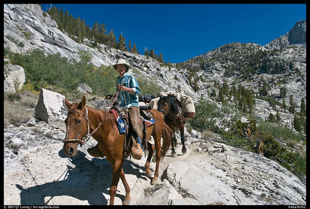 Man driving a pack of horses on trail, lower Dusy Basin. Kings Canyon National Park, California