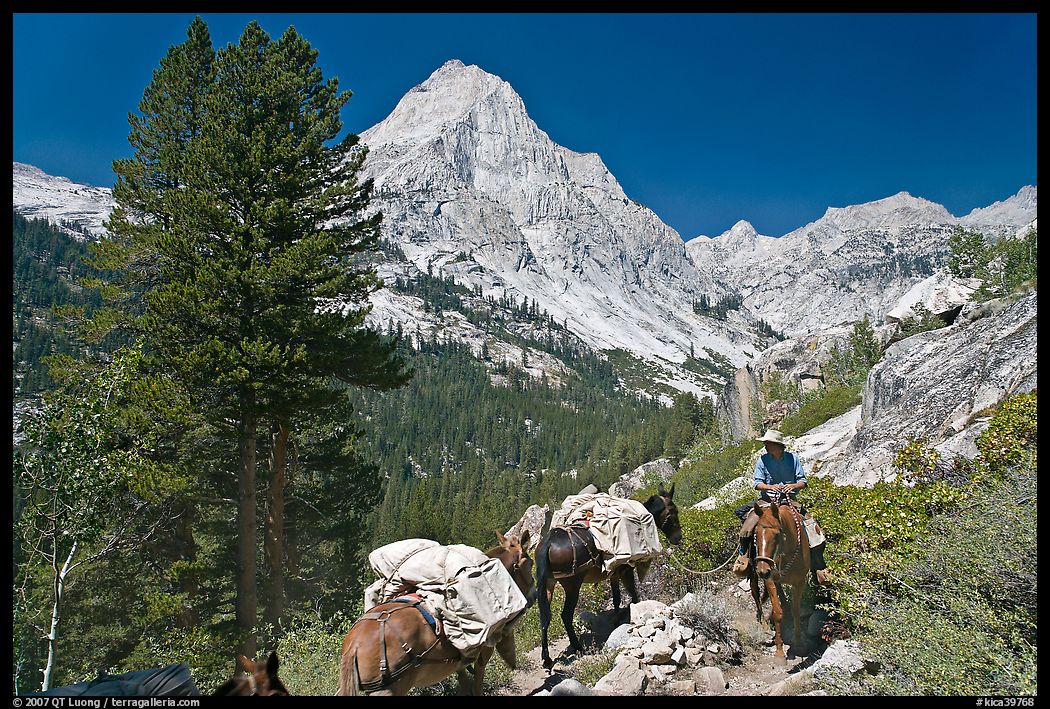 Man riding horse and Langille Peak, Le Conte Canyon. Kings Canyon National Park, California