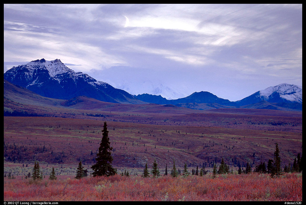 Alaska Range at dusk from near Savage River. Denali  National Park, Alaska, USA.
