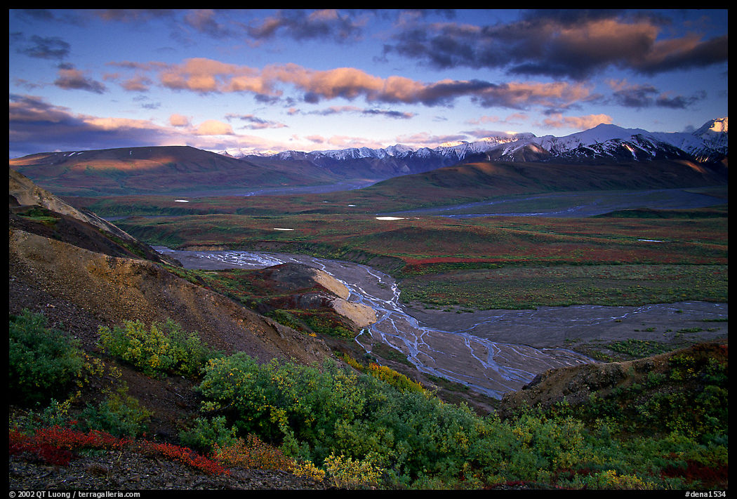 Tundra, braided rivers, Alaska Range in the evening from Polychrome Pass. Denali  National Park, Alaska, USA.