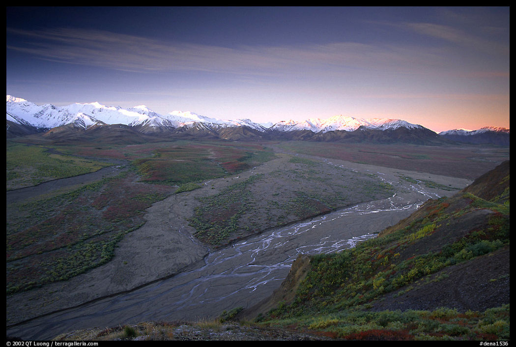 Wide valley with braided rivers and Alaska Range at sunrise from Polychrome Pass. Denali  National Park, Alaska, USA.
