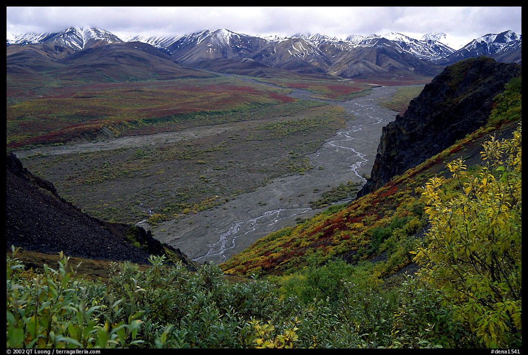 Tundra, wide valley with rivers, Alaska Range in the evening from Polychrome Pass. Denali  National Park, Alaska, USA.