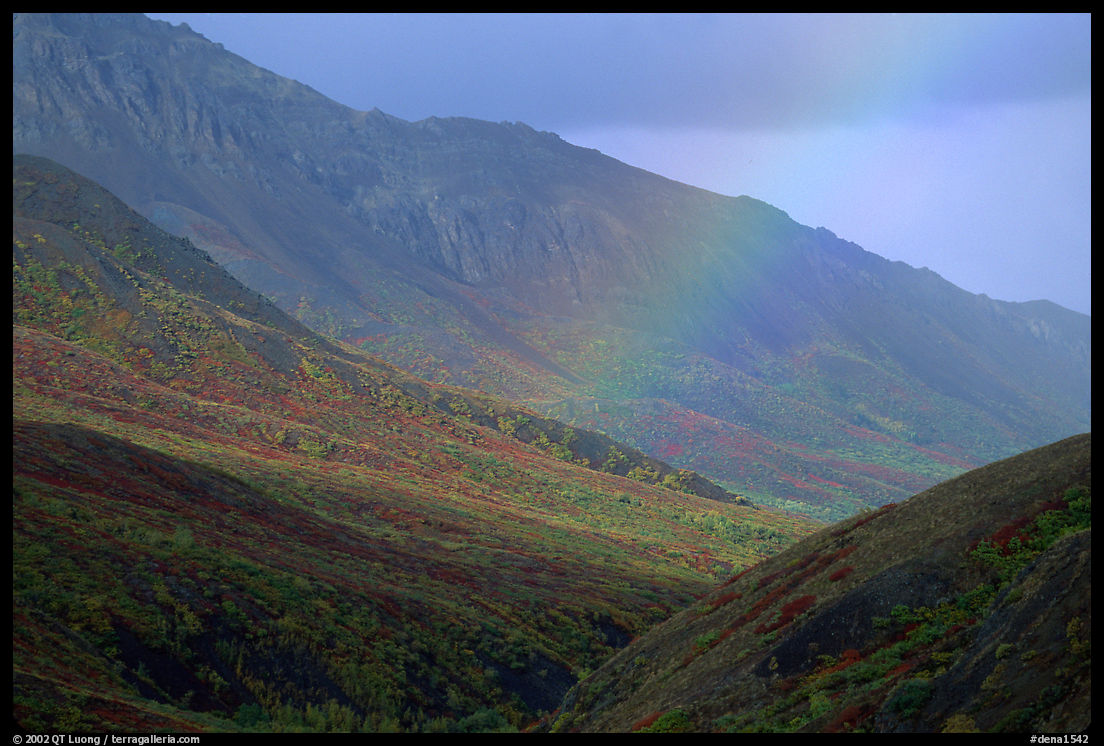 Rainbow and mountains near Sable Pass. Denali  National Park, Alaska, USA.