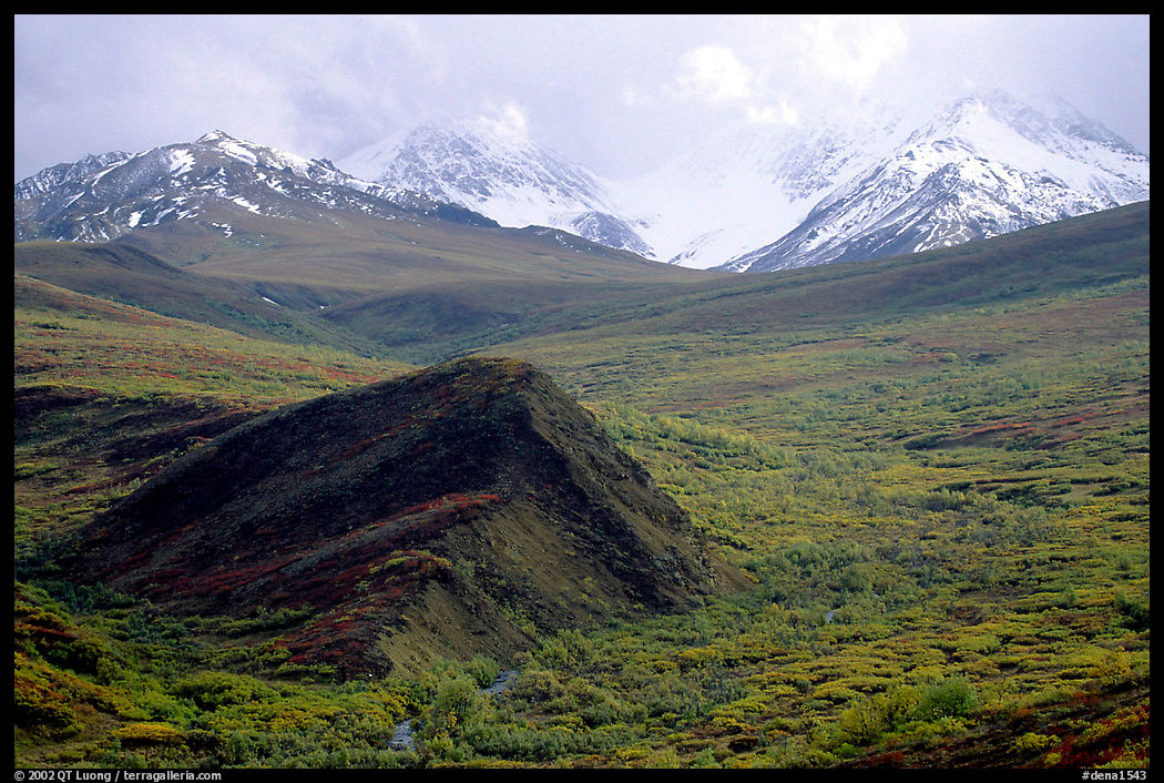 Hills and mountains near Sable Pass. Denali  National Park, Alaska, USA.