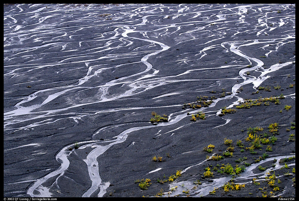 Braids of the Mc Kinley River near Eielson. Denali  National Park, Alaska, USA.