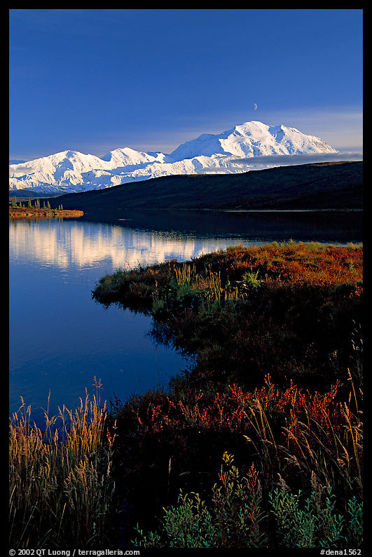 Mt Mc Kinley above Wonder Lake, evening. Denali  National Park, Alaska, USA.