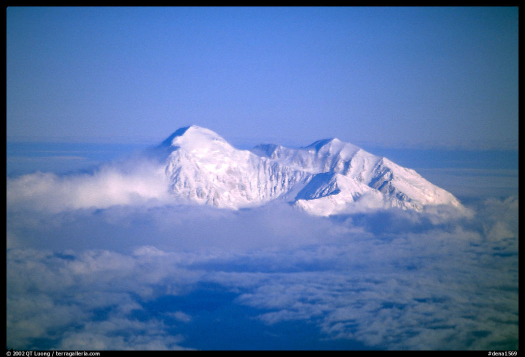 Mt Mc Kinley emerges from a sea of clouds. Denali  National Park, Alaska, USA.
