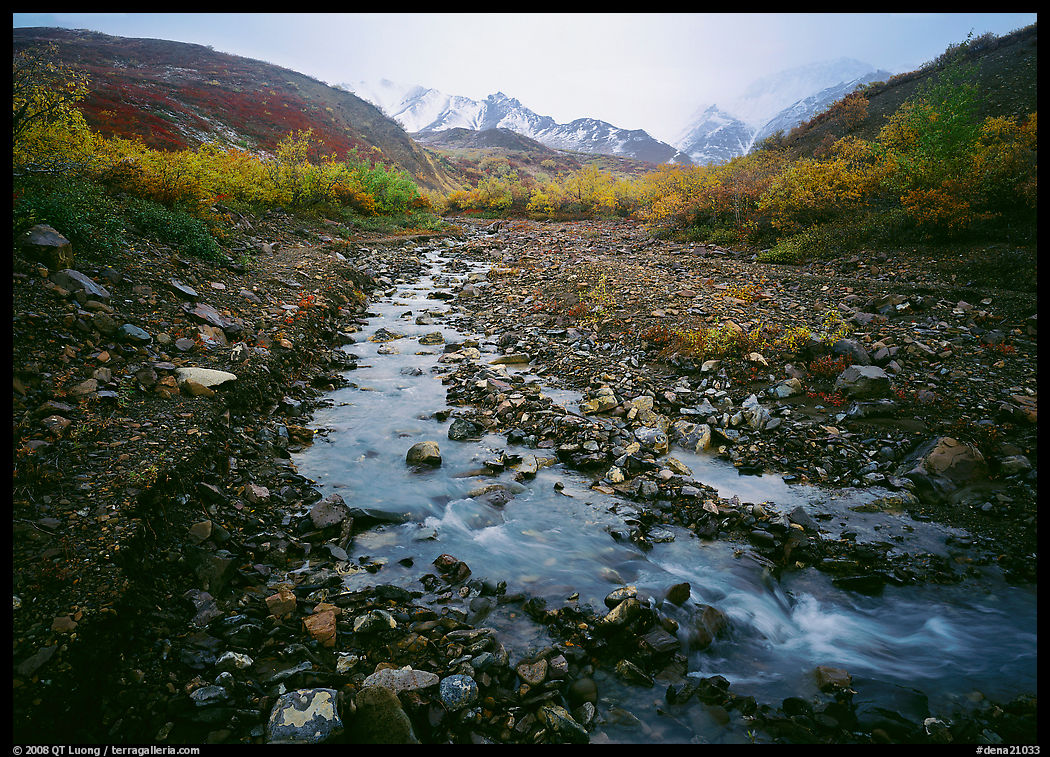 Creek near Polychrome Pass. Denali  National Park, Alaska, USA.