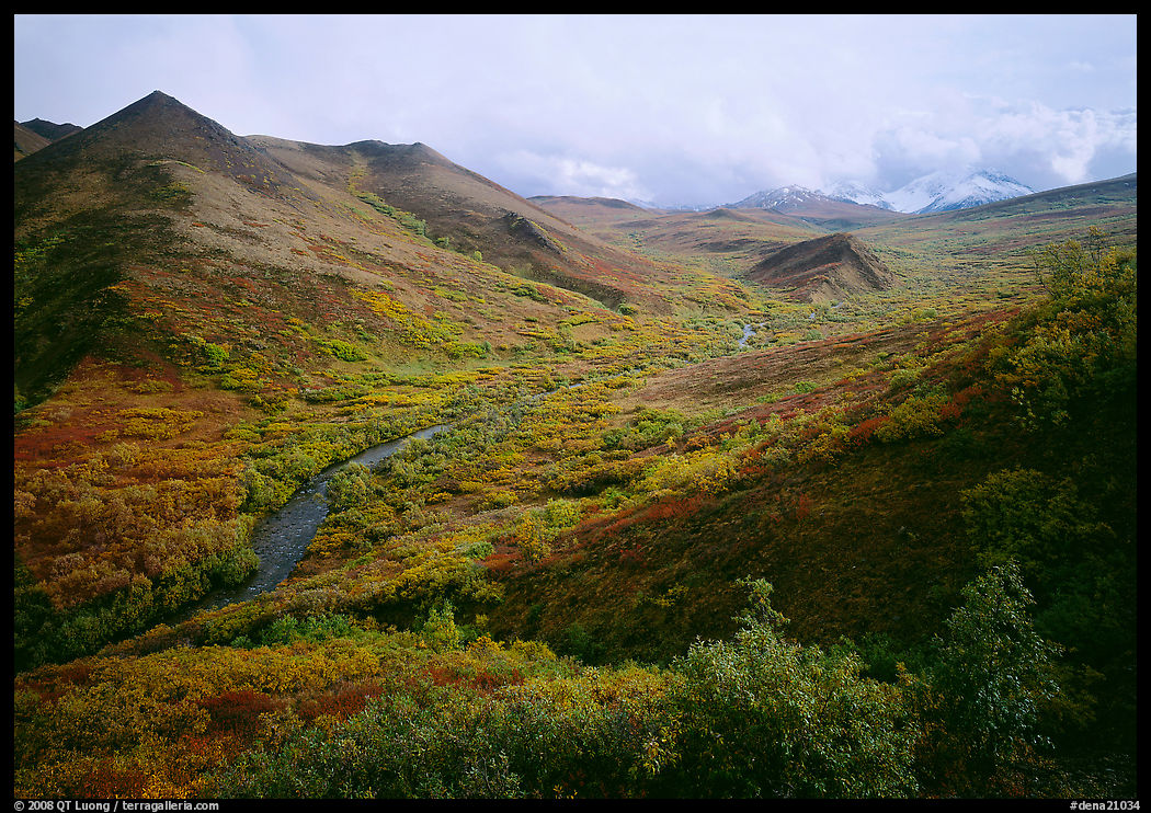 Gentle valley and river with low vegetation. Denali  National Park, Alaska, USA.