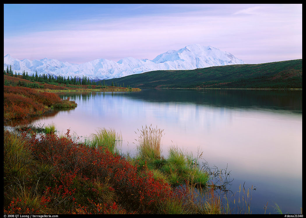 Wonder Lake and Mt McKinley at dusk. Denali  National Park, Alaska, USA.