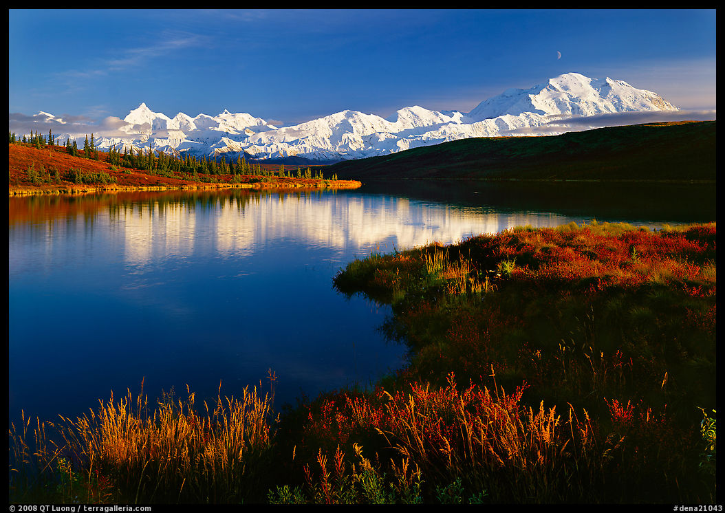 Mt Mc Kinley above Wonder Lake, evening. Denali  National Park, Alaska, USA.