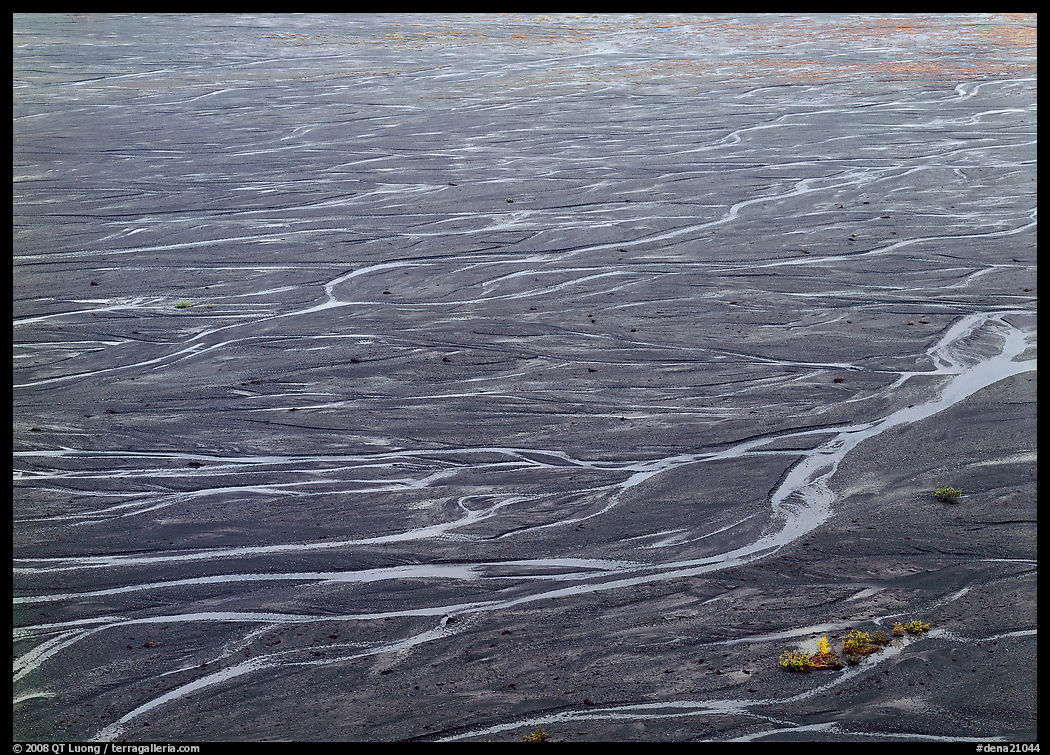 Braids of the McKinley River on sand bar near Eielson. Denali  National Park, Alaska, USA.