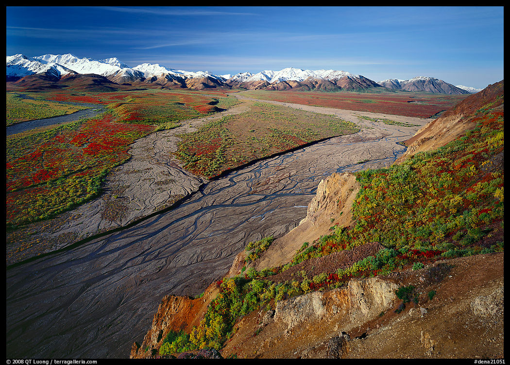 Braided river and Alaska Range from Polychrome Pass. Denali  National Park, Alaska, USA.