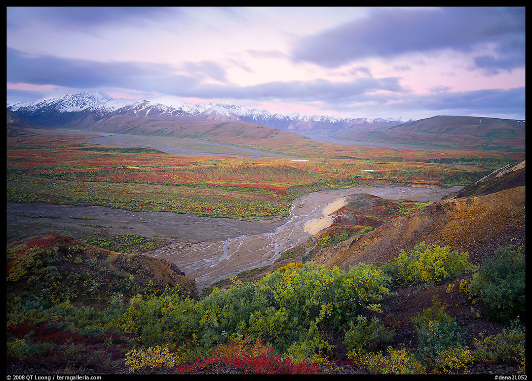 Tundra and braided rivers from Polychrome Pass, afternoon. Denali  National Park, Alaska, USA.