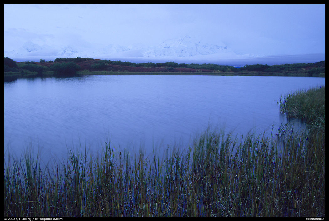 Mt McKinley in the fog from Reflexion pond, dawn. Denali  National Park, Alaska, USA.