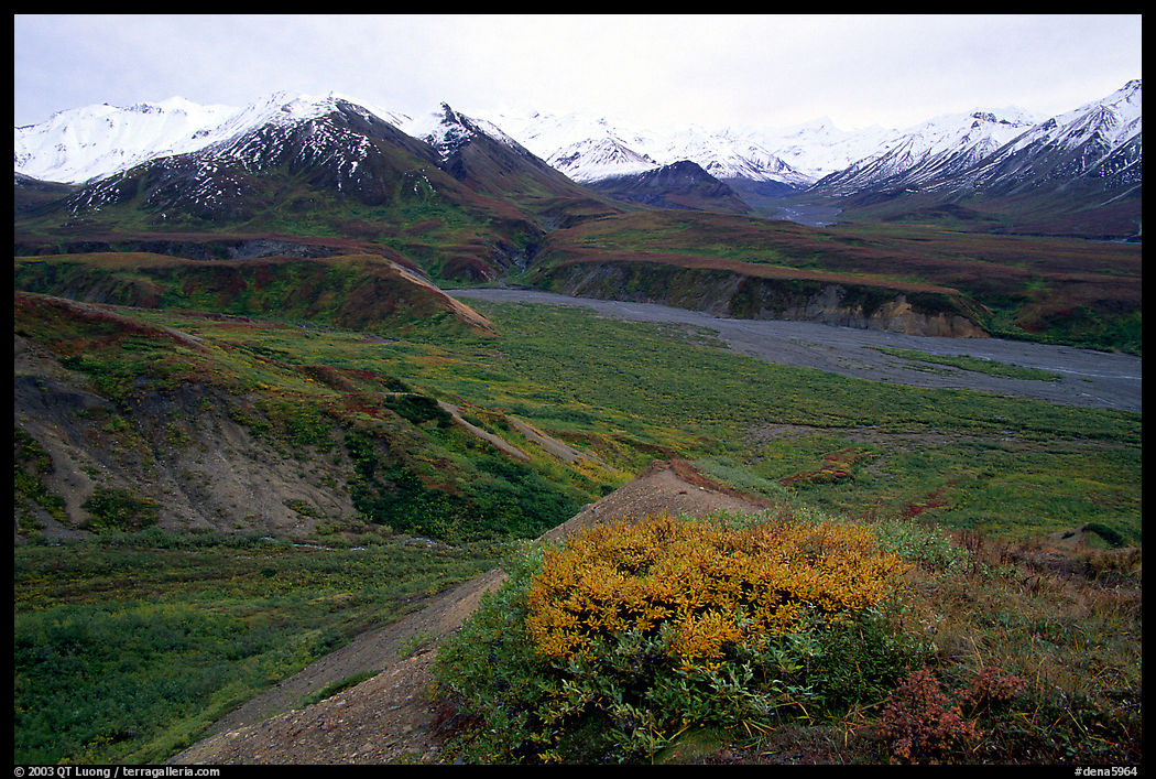Alaska Range from Eielson. Denali  National Park, Alaska, USA.