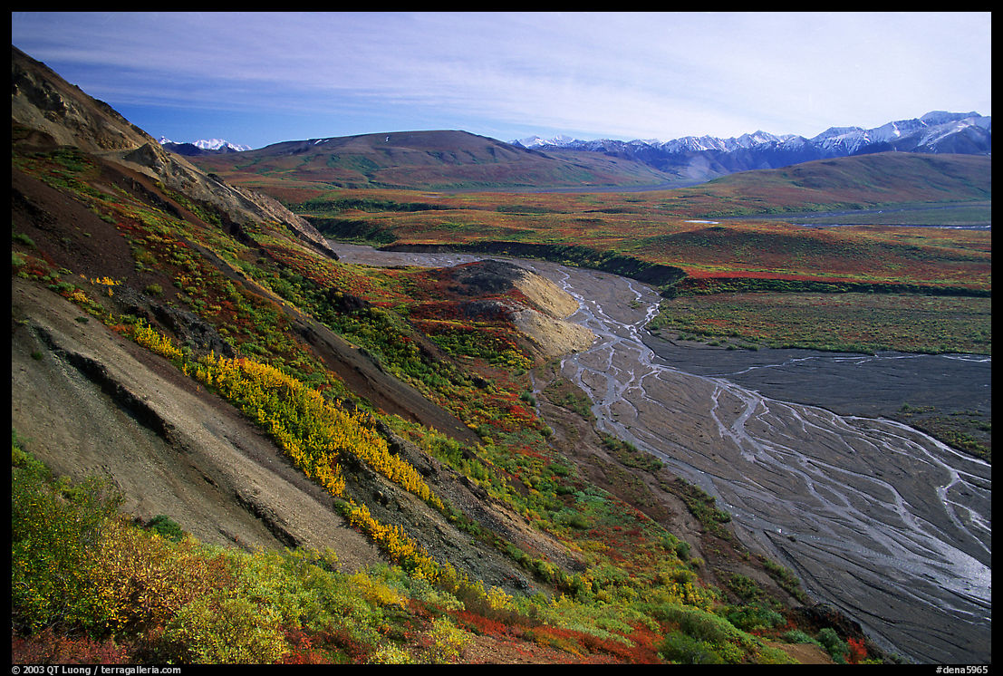 Braided river from Polychrome Pass, morning. Denali  National Park, Alaska, USA.