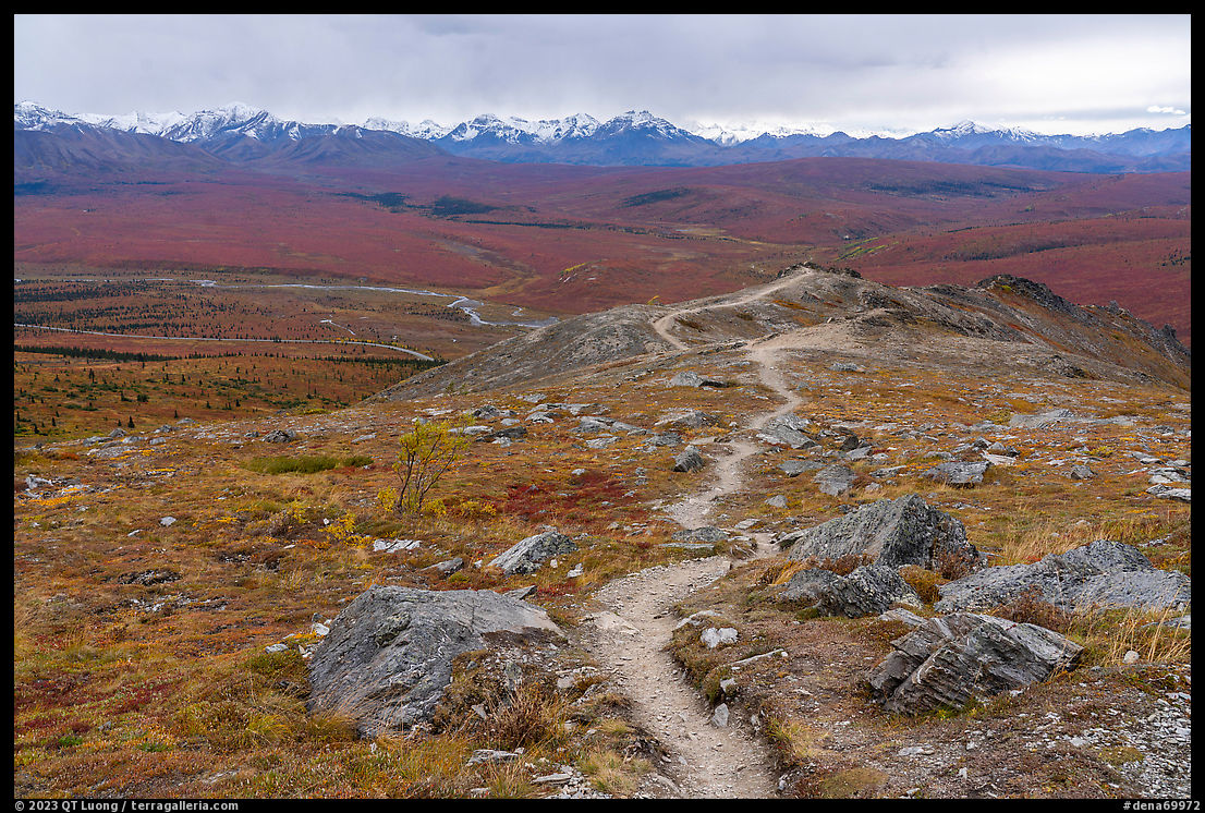 Denali Uncomplicated The Savage Alpine Trail The Terra Galleria Blog QT Luong