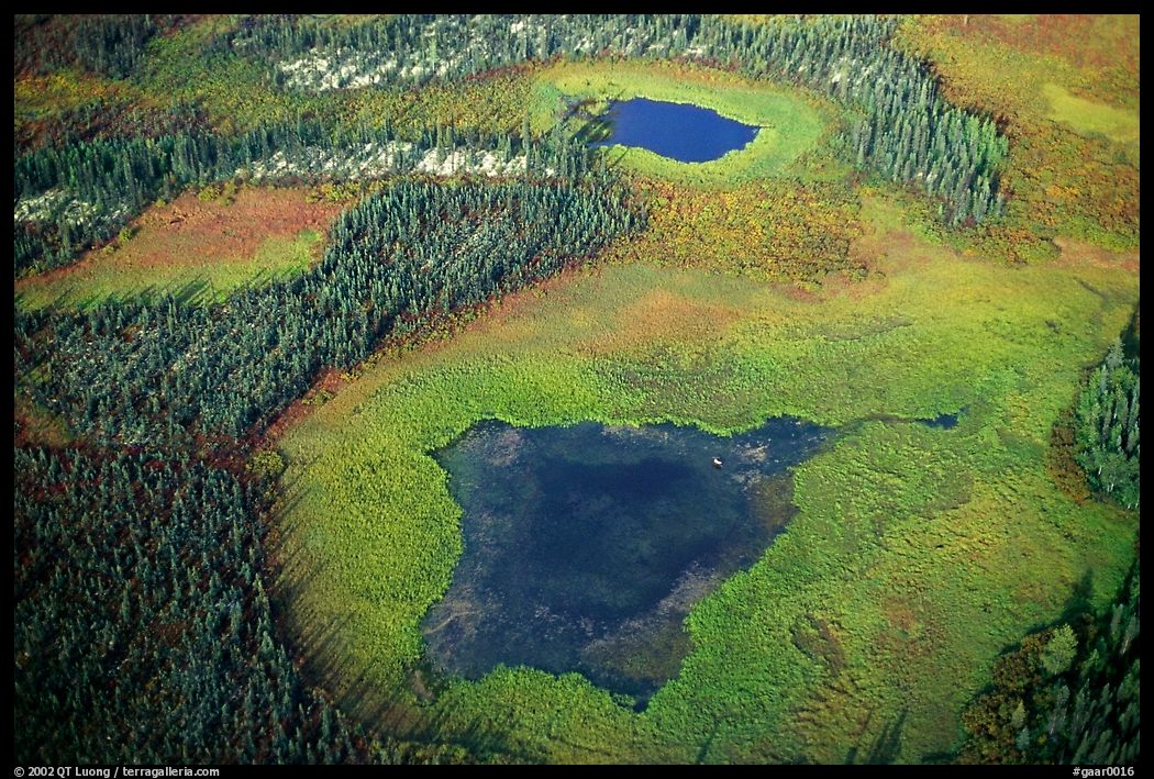 Aerial view of lake, tundra and taiga. Gates of the Arctic National Park, Alaska, USA.